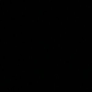 Meet your Posher, Mia